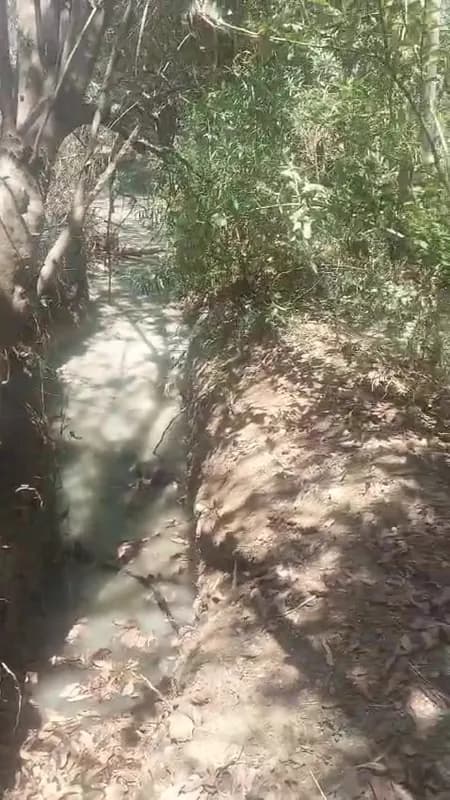 Exploración de terreno para localizar venas de agua